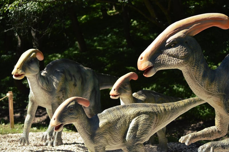 Dinosaurs Observation